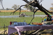 Botswana-Okavango Delta-Okavango Big Five Safari - 6 days